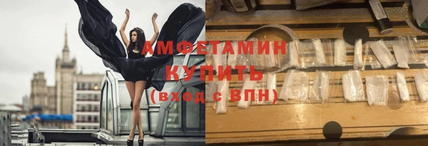 прущие грибы Алзамай
